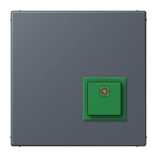 Jung Notrufsystem Abstelltaster NRS LC 0834 AT