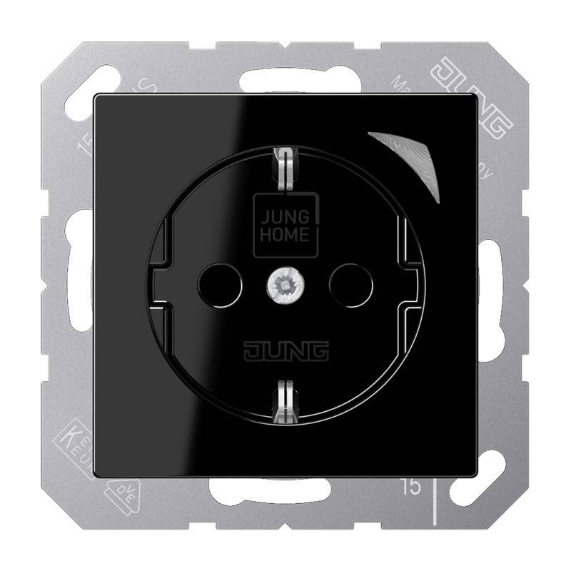Jung SCHUKO Steckdose BT A 1521 S SW-0