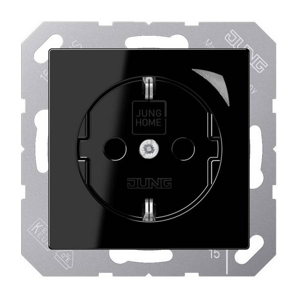 Jung SCHUKO Steckdose BT A 1521 S SW