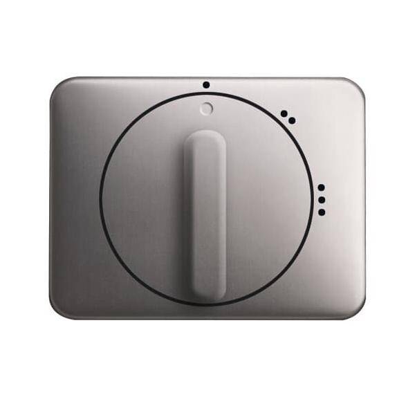 Busch-Jaeger Zentralscheibe pla 2542 DR/02-20-0