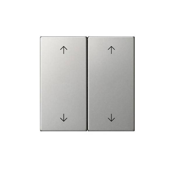 Gira Wippe 2-fach 5387600-0