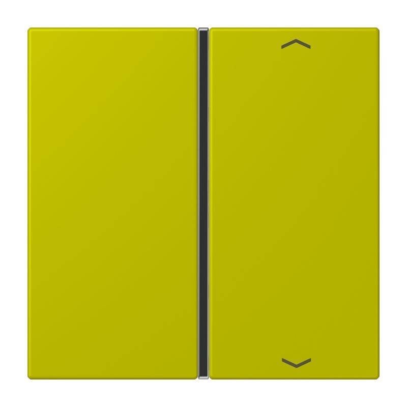 Jung Taste 1fach m. Pfeilsymb. LC 401 TSAP 249-0