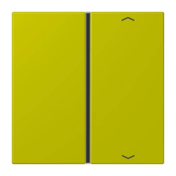 Jung Taste 1fach m. Pfeilsymb. LC 401 TSAP 249