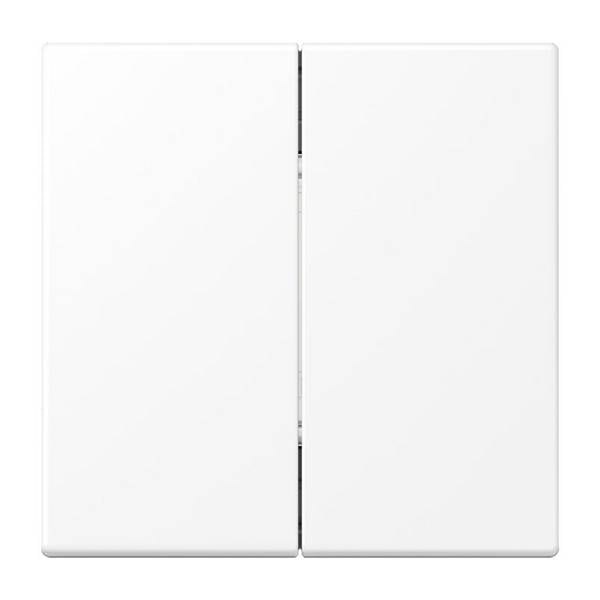 Jung Matter Taster 2f 4k MAT LS 995 WWM