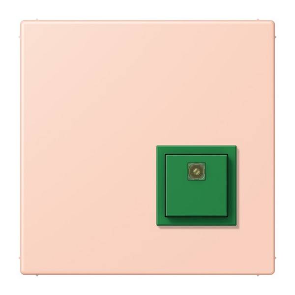 Jung Notrufsystem Abstelltaster NRS LC 0834 AT