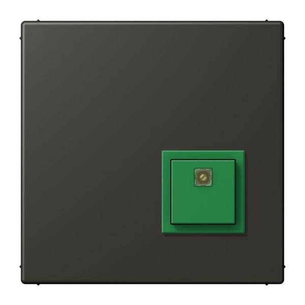 Jung Notrufsystem Abstelltaster NRS LC 0834 AT