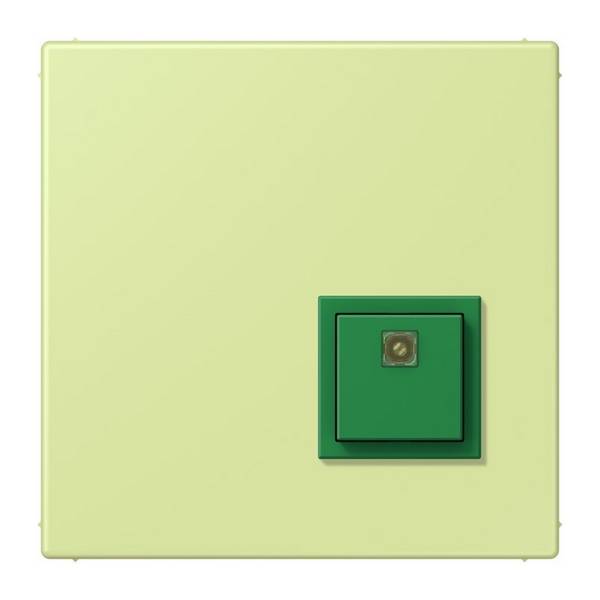 Jung Notrufsystem Abstelltaster NRS LC 0834 AT