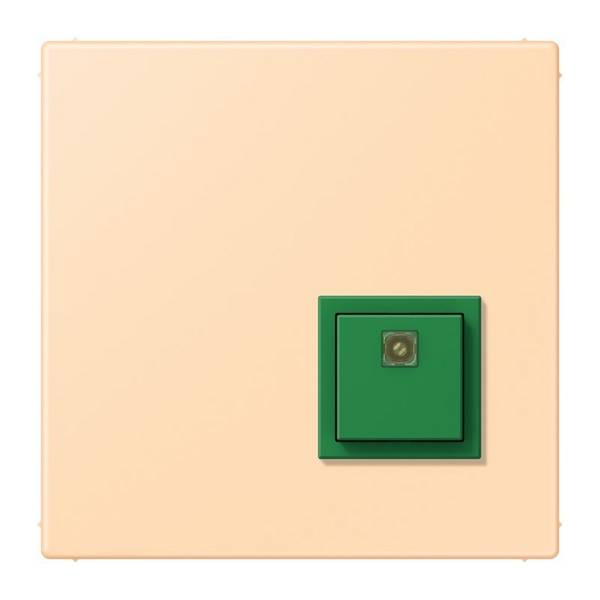 Jung Notrufsystem Abstelltaster NRS LC 0834 AT
