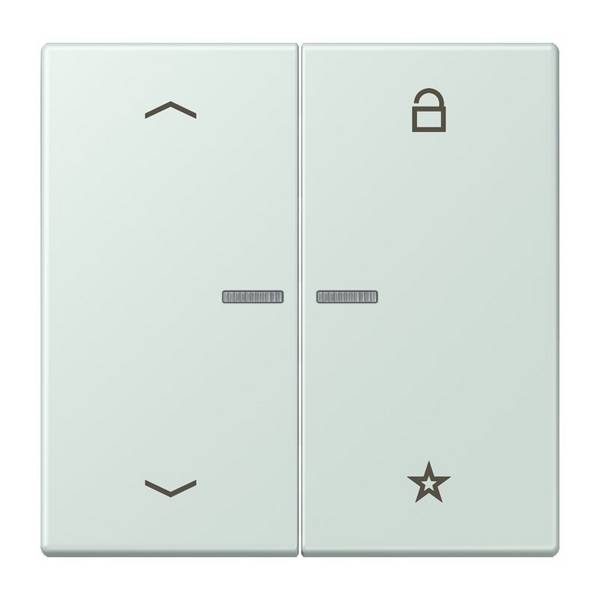 Jung eNet Taster Universal 1f. FM LC 1701 P 215