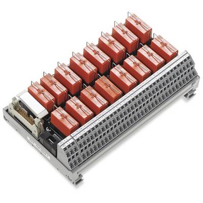 WAGO GmbH & Co. KG Übergabemodul 704-5004-0