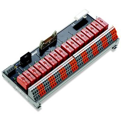 WAGO GmbH & Co. KG Übergabemodul 704-5064-0