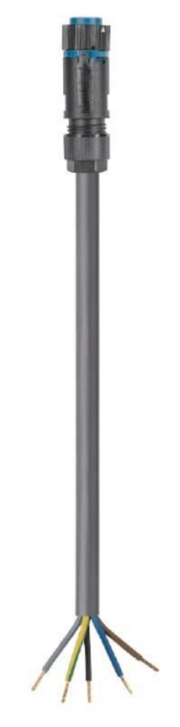 Wieland Konfektionierte Leitung 46.452.5033.6