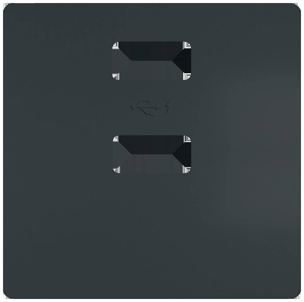 Siemens Dig.Industr. style Abdeckplatte f.Doppel-USB, carbon 5TG2578-0CM