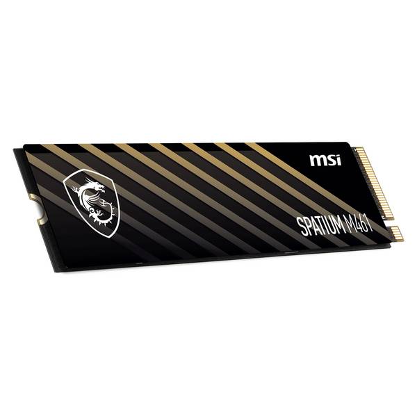 MSI Spatium 1 TB M.2 5000 MB/s GB