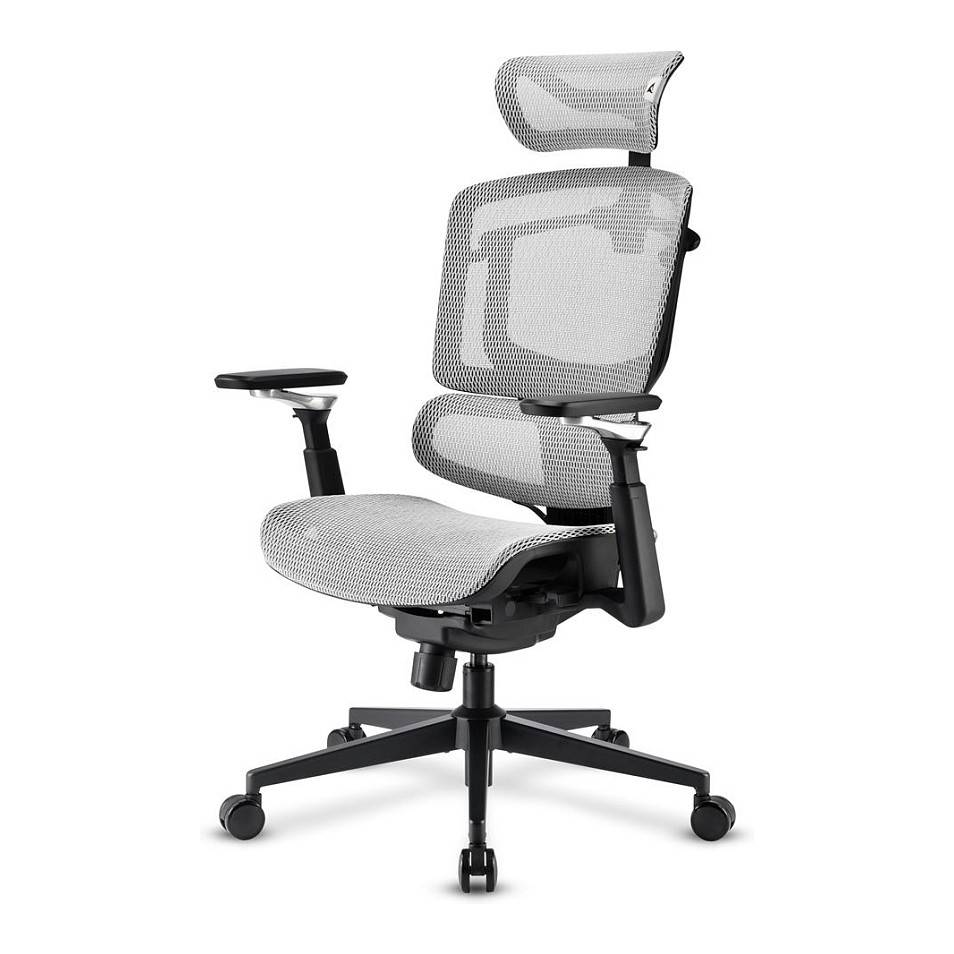 Sharkoon OfficePal C50M, Gepolsterter Sitz, Vernetzte Rückenlehne, Schwarz, Schwarz, Stoff, Schaum, Netz-0