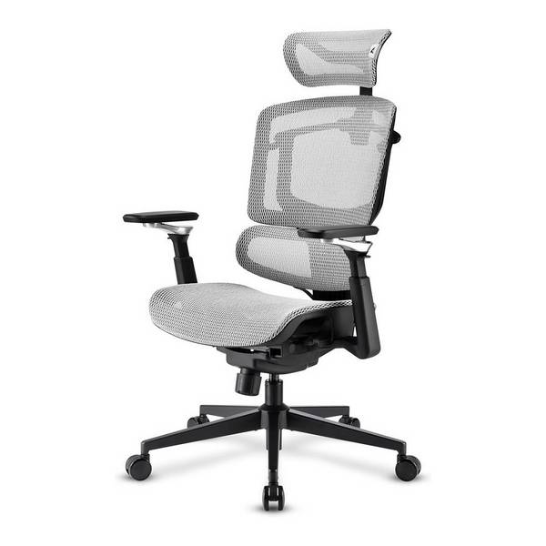 Sharkoon OfficePal C50M, Gepolsterter Sitz, Vernetzte Rückenlehne, Schwarz, Schwarz, Stoff, Schaum, Netz