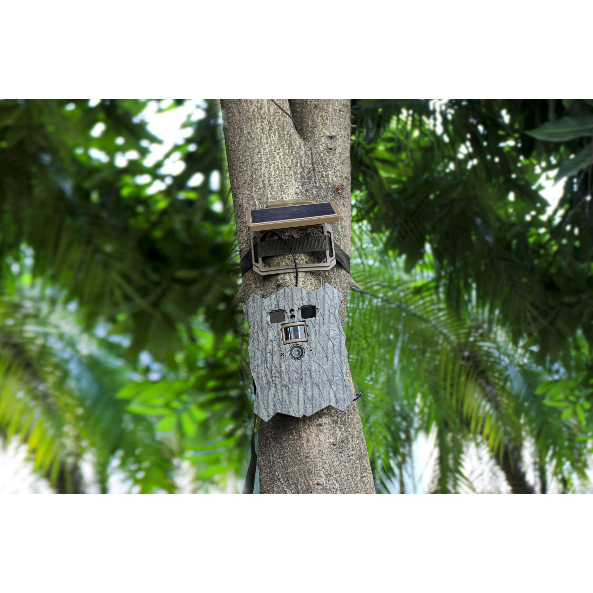 Stealth Gear Owl Solar 4K Wifi Wildkamera-1