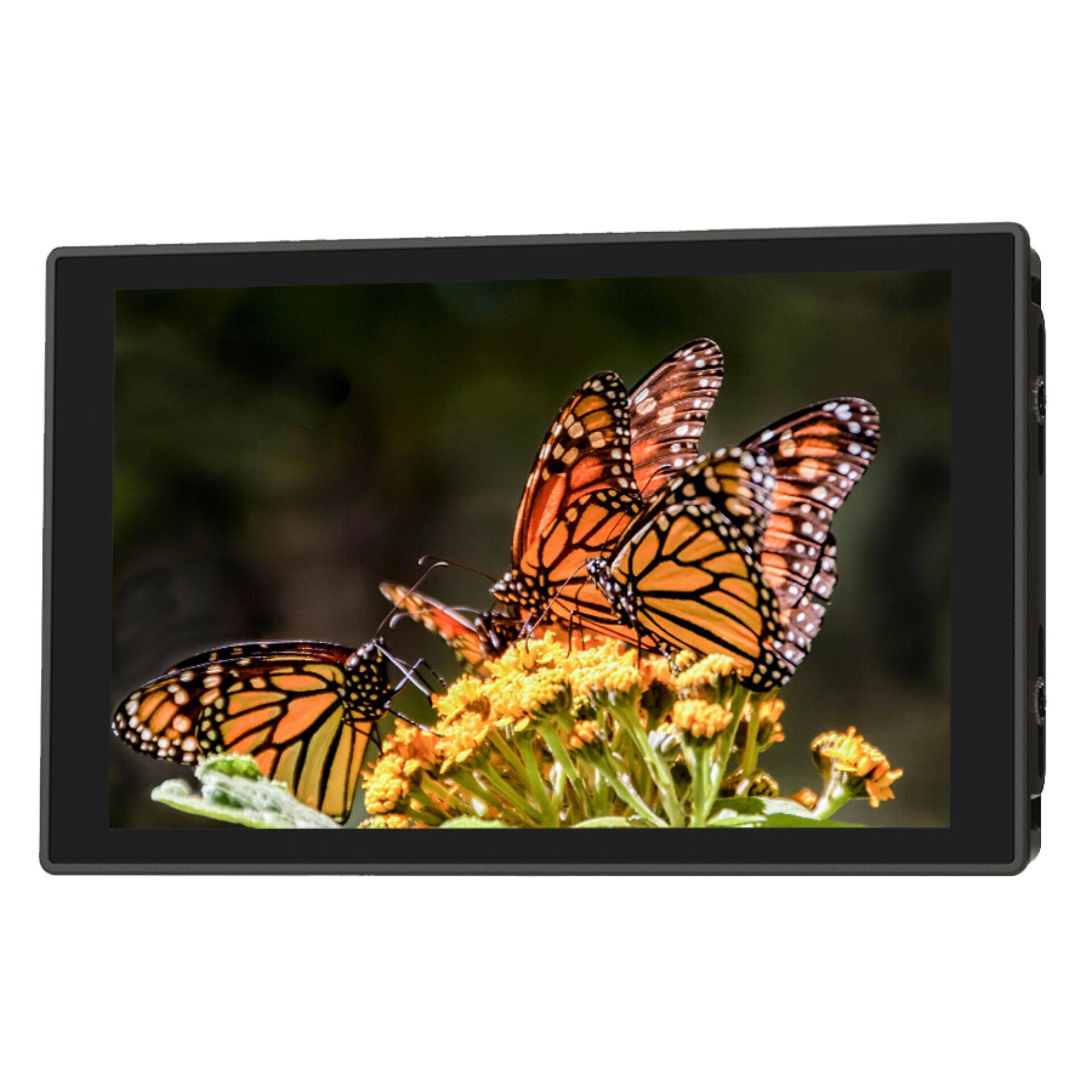 Portkeys HD7T Monitor-0