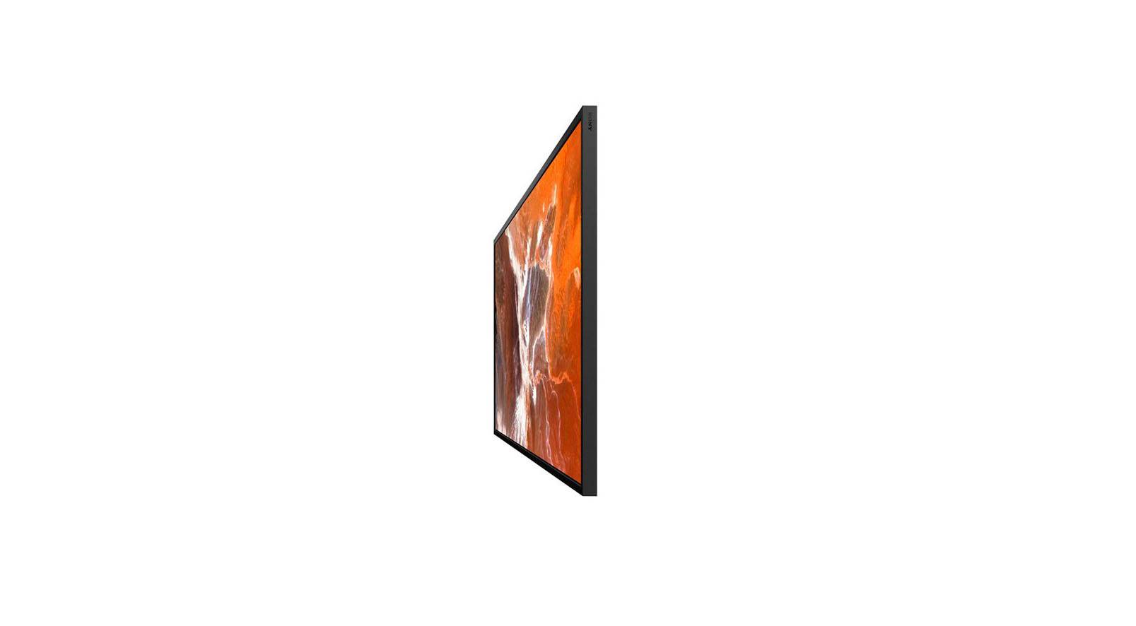 Sony Bravia Professional Displays FW-43BZ30P - 109 cm (43")-3