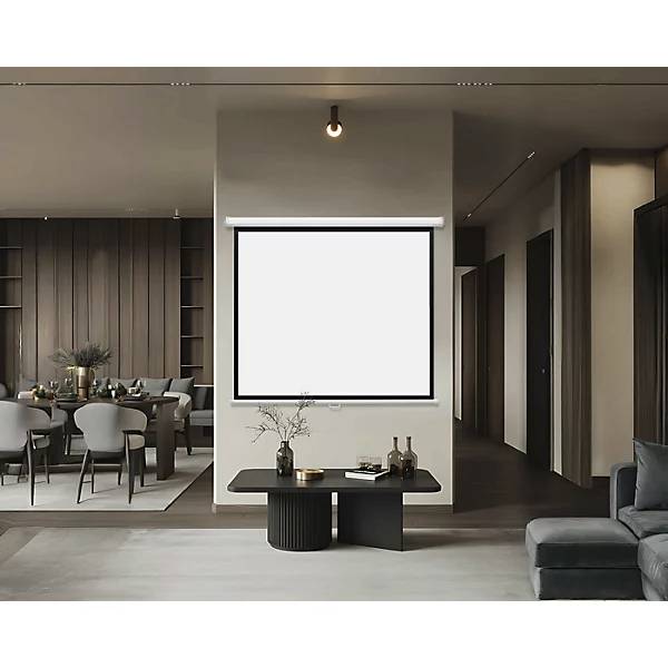Magnetoplan manuelle Rollo-Leinwand, 2200 x 2200 mm 1:1-4