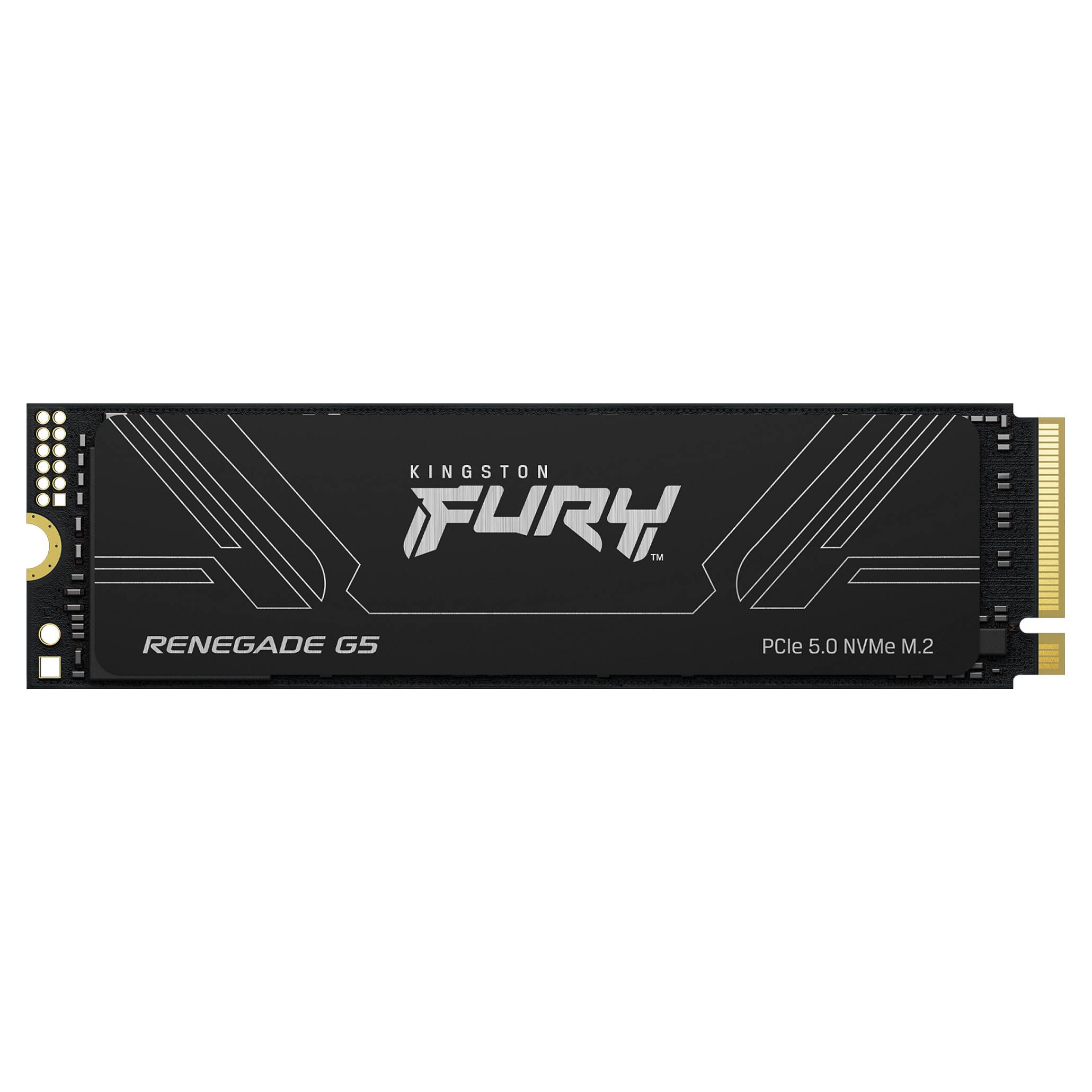 Kingston Technology FURY Renegade G5 SSDs Interne-0
