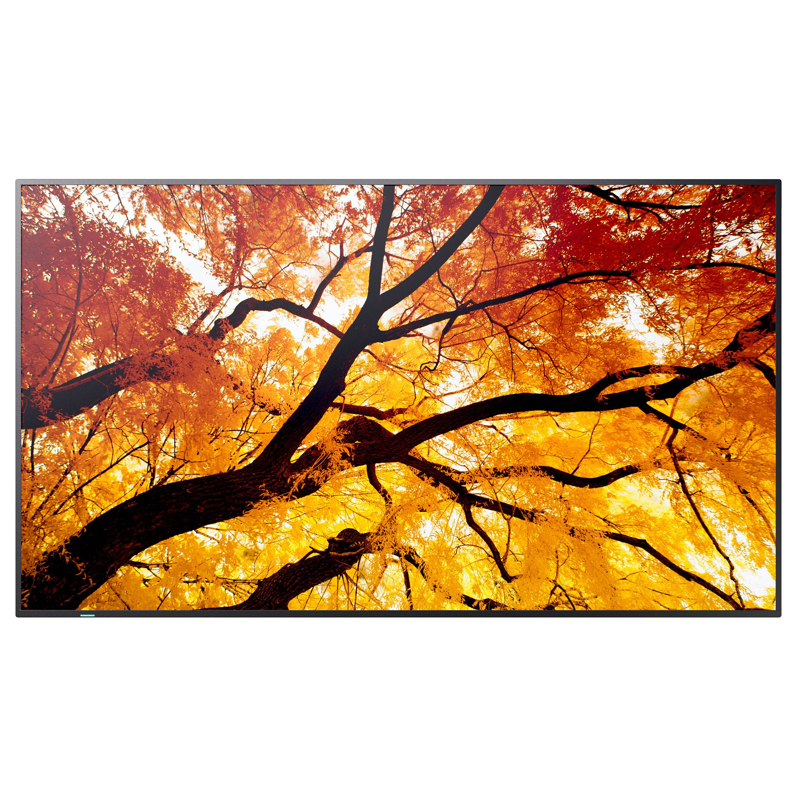 Sharp MultiSync M322 Displays Large Format-0