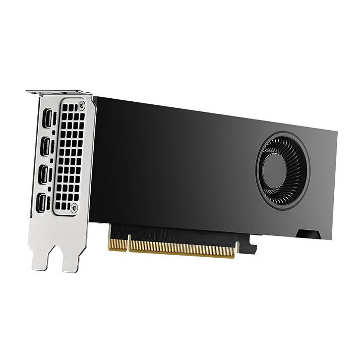 PNY NVIDIA RTX 2000 Ada Generation - Grafikkarte-3