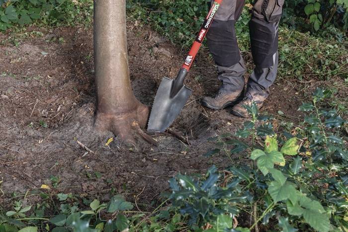 Baumwurzelspaten 38x14cm Gartenspaten m.scharfen Zähnen POLET-3