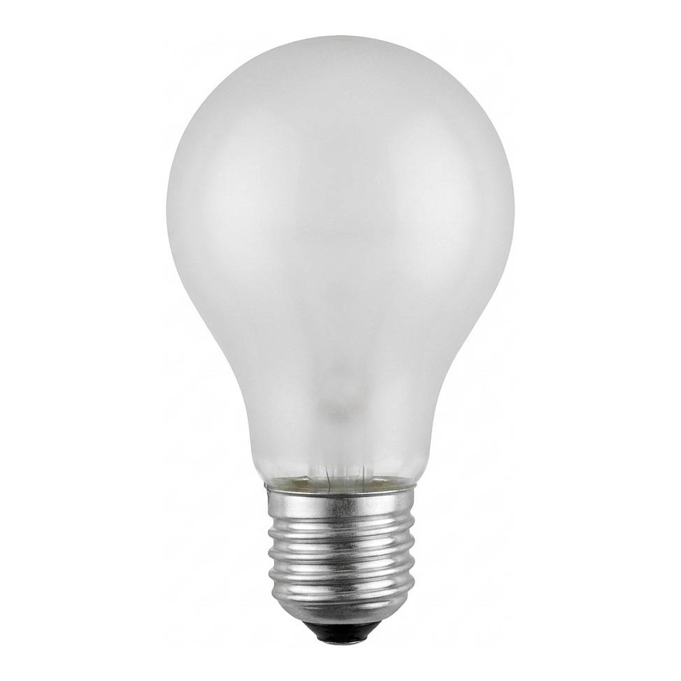 Scharnberger 40714 Allgebrauchslampe B 60x105mm E27 24V 60W matt Baumarkt & Garten Beleuchtung-0