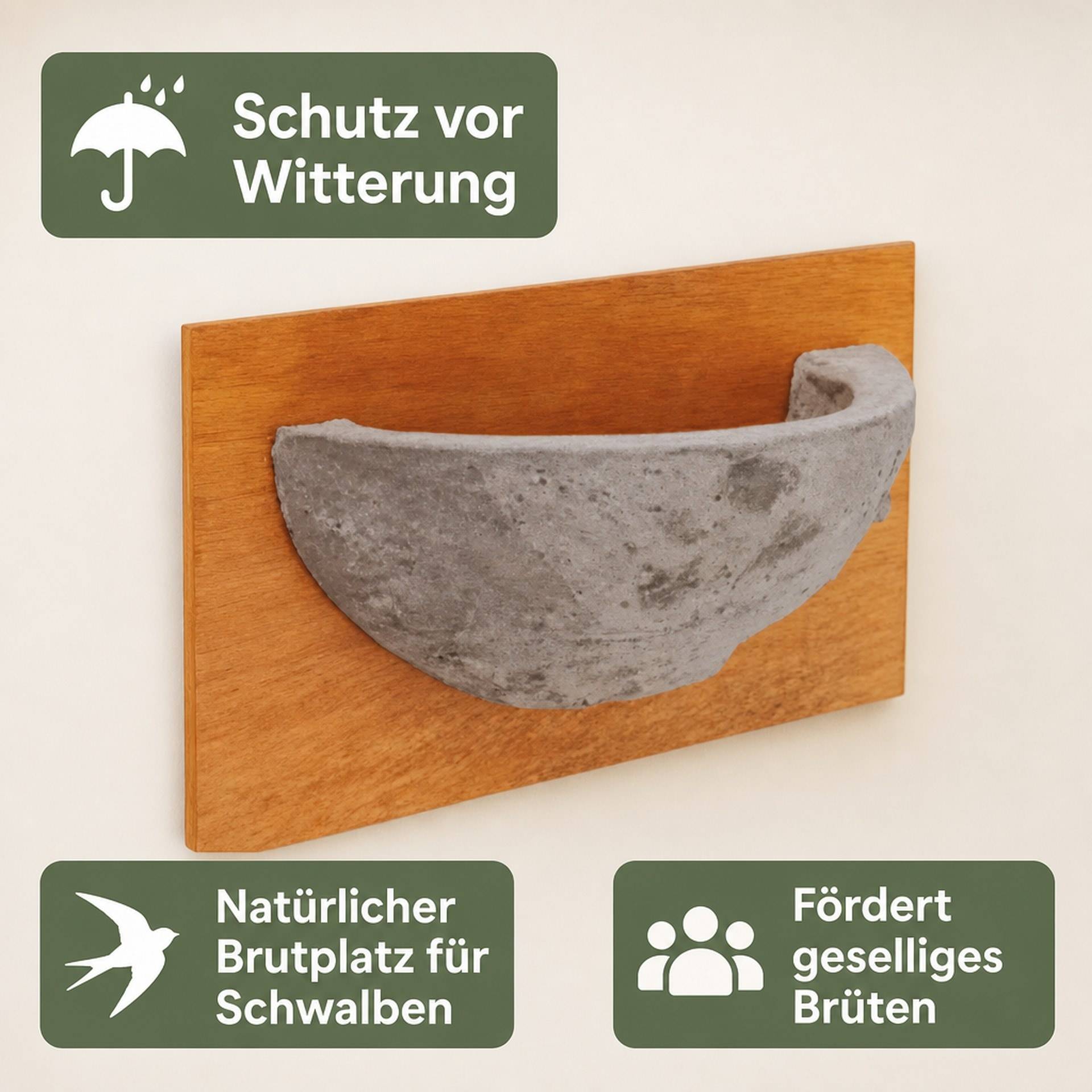 Mehlschwalbennest (Befestigungsmaterial nicht enthalten)-1