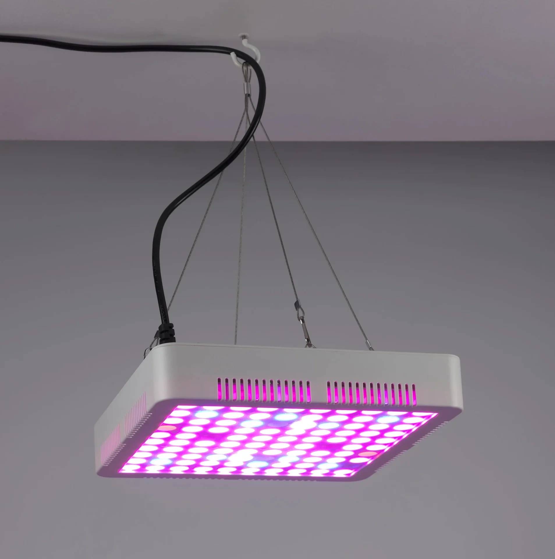 Westfalia Pflanzenlicht LED Leuchte 80 Watt, eckig-1