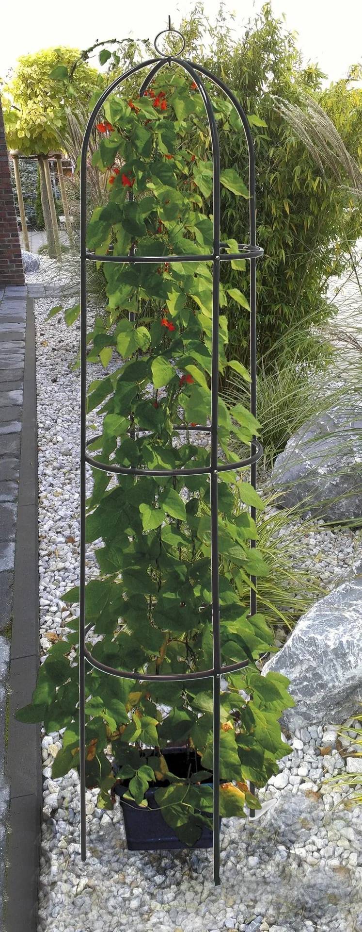 Westfalia Rank-Obelisk Ø 40 x 190 cm-1
