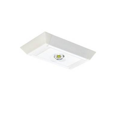 H1 Solutions Sicherheitsleuchte Implant Zigbee
