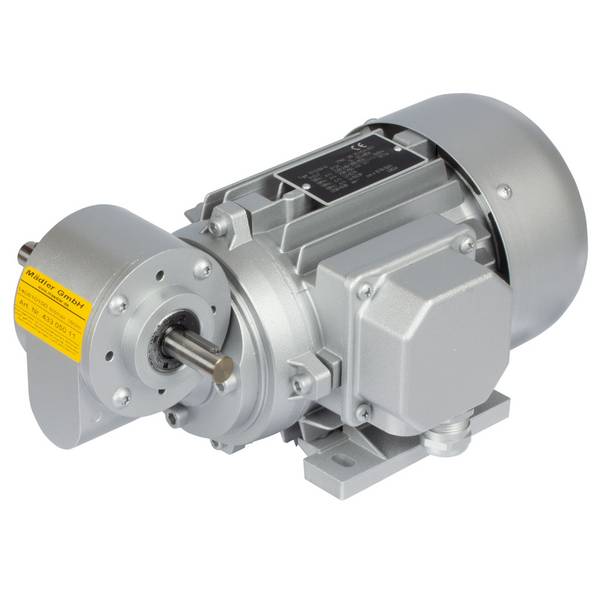 43305056 Getriebemotor MEG 180 Watt i=56:1