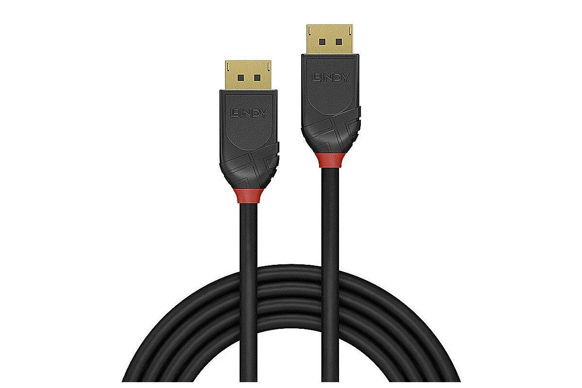 Black Line - DisplayPort-Kabel - DisplayPort (M)-1