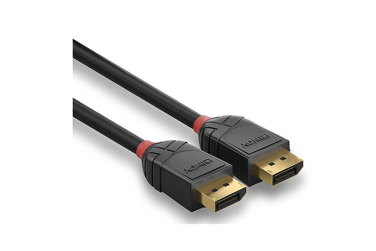 Black Line - DisplayPort-Kabel - DisplayPort (M)-2