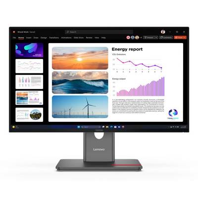 Lenovo ThinkVision P24Q-40 Quad HD Display 60,5 cm (23,8') 64B2GAT1EU-0