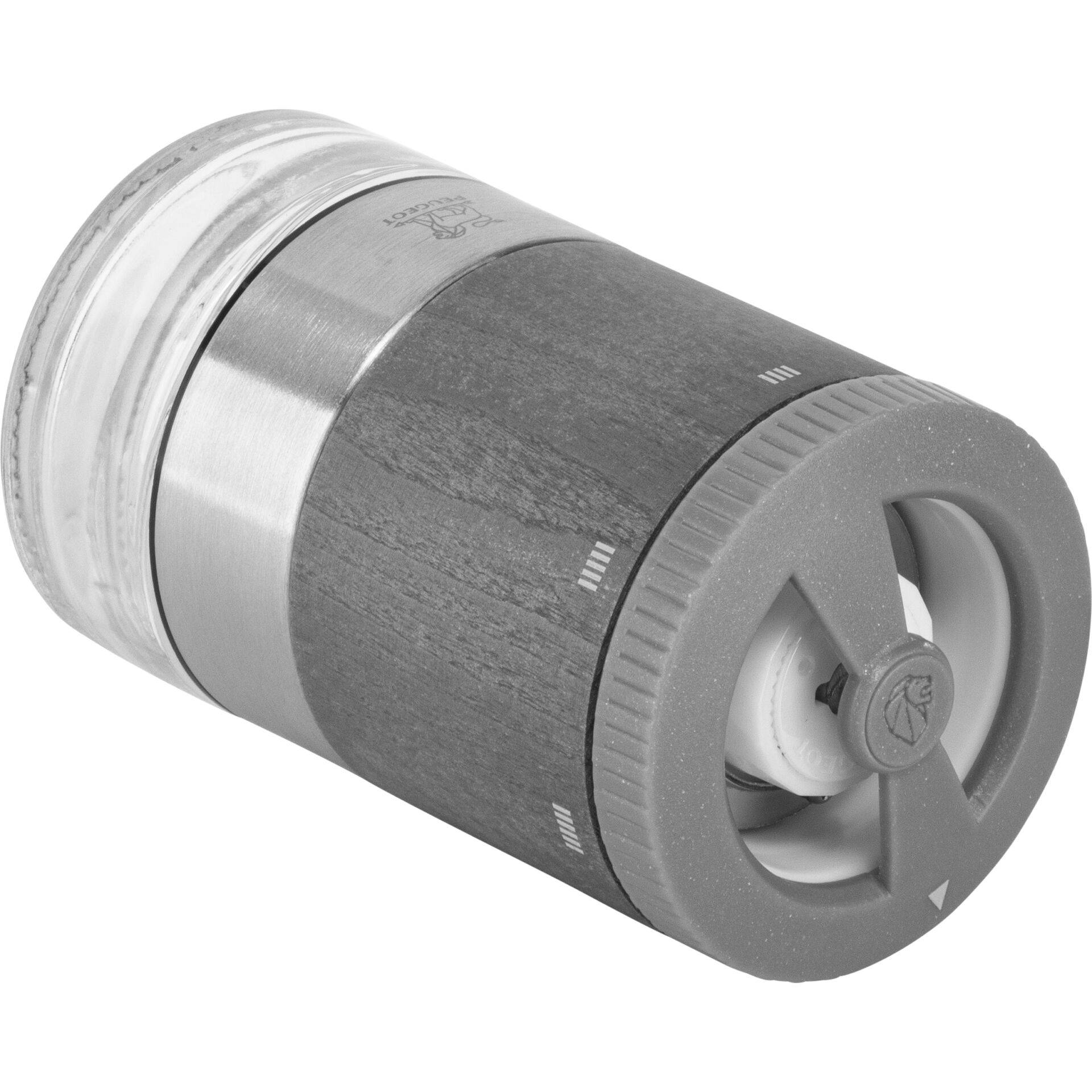 Peugeot Saveurs MAESTRO Salzmühle Zirlion graphite light 11cm-1