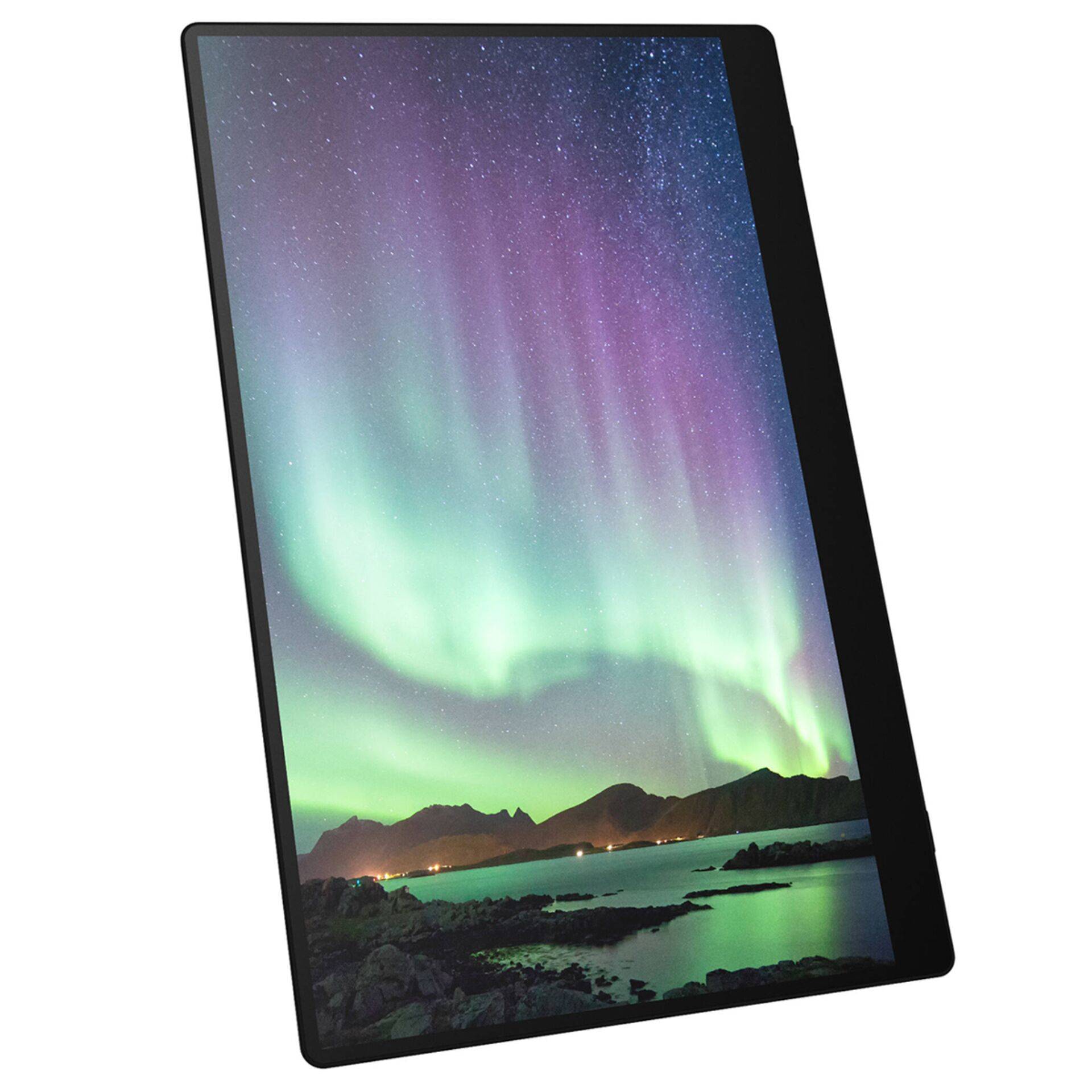 Ricoh 150BW OLED-Monitor 39,6 cm 15.6" tragbar Touchscreen 1920 x 1080 Full HD 1080p @ 60 Hz 300 cd/m² 100000:1 1 ms-4