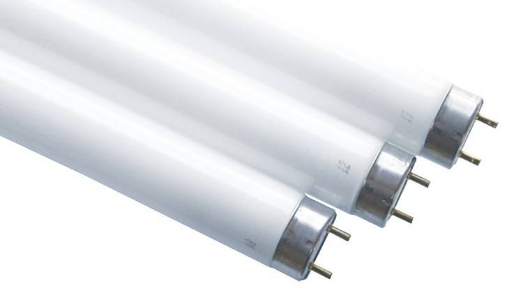 Scharnberger+Hasenbein Leuchtstofflampe T8 68482-0
