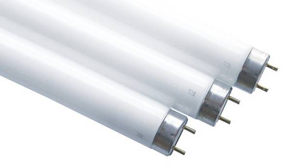 Scharnberger+Hasenbein Leuchtstofflampe T8 68482