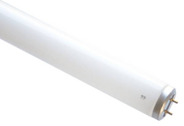 Scharnberger+Hasenbein UV-A-Leuchtstofflampe