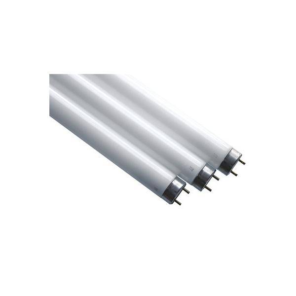 Scharnberger+Hasenbein Leuchtstofflampe T8 68482-1