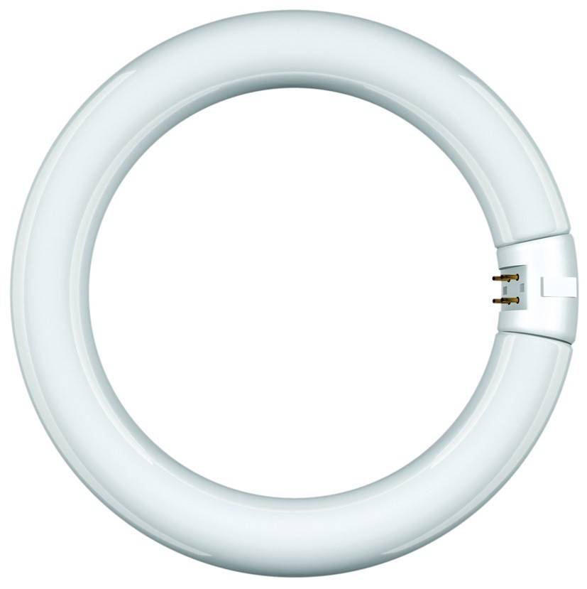 Scharnberger+Hasenbein Leuchtstofflampe Ringf.-0