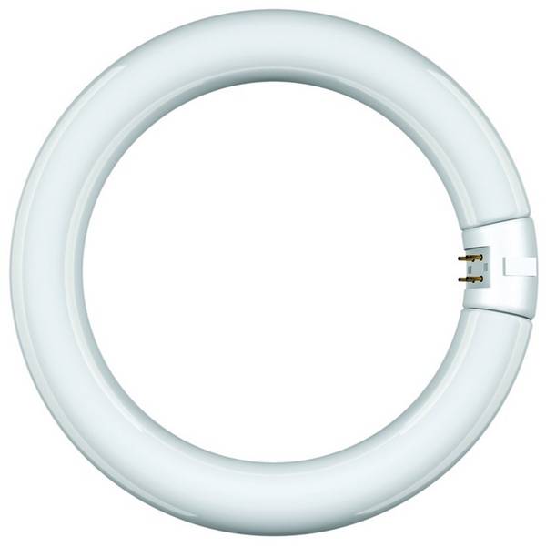 Scharnberger+Hasenbein Leuchtstofflampe Ringf.