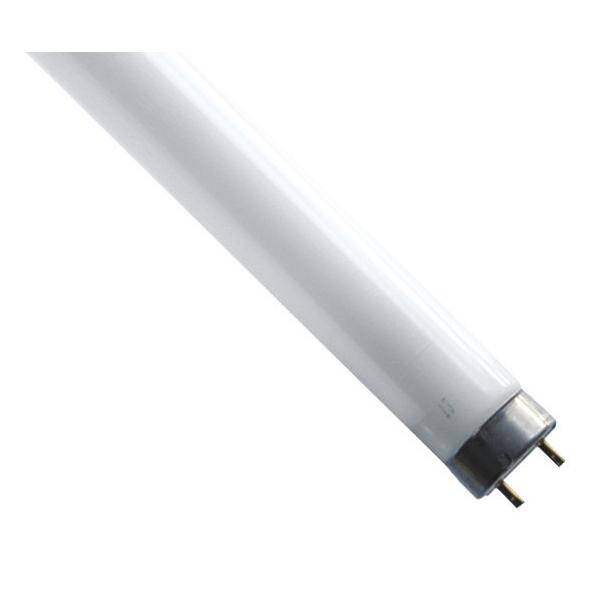 Scharnberger+Hasenbein Entkeimungslampe T8 18099