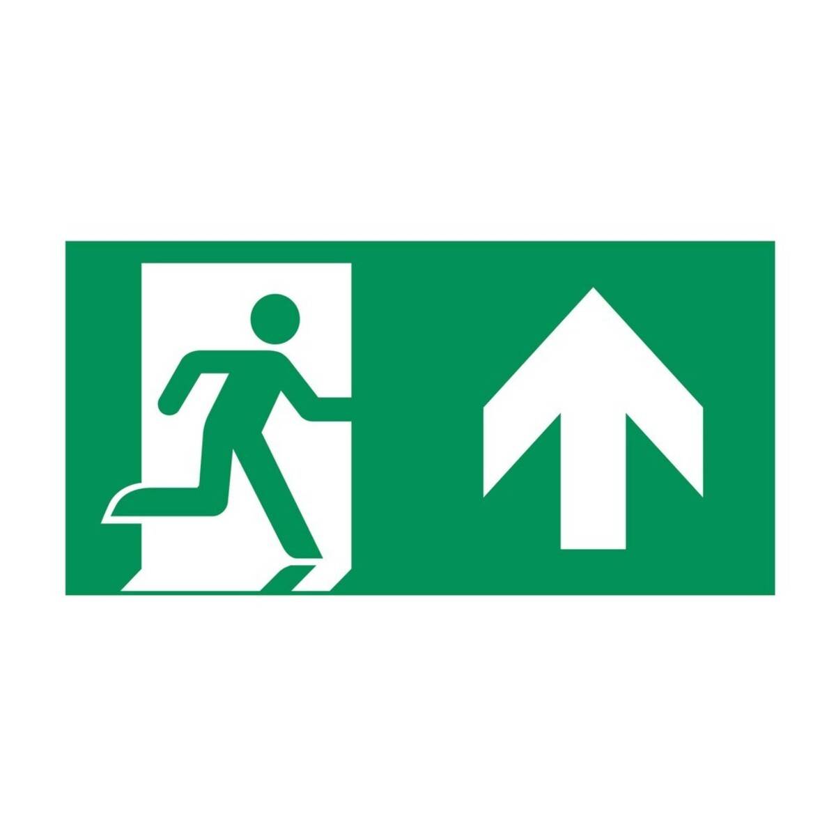 Ceag Notlichtsysteme Piktogrammscheibe PO-0