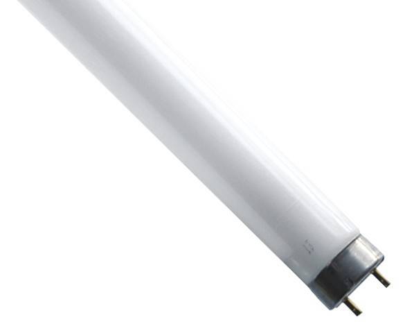 Scharnberger+Hasenbein UV-A Leuchtstofflampe-1