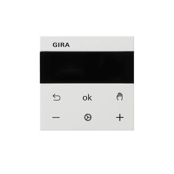 Gira RTR Display 539303 reinweiß Kunststoff-0