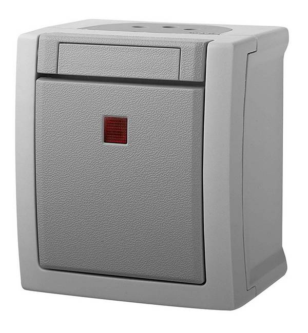 Panasonic Kontroll-/Ausschalter 90591023-DE